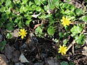 Sous soleil exactement