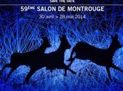 Salon Montrouge Avril/28 2014