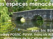 CONFERENCE médiathèque Michel-Crépeau Rochelle Mardi mars 2014 18h30 poissons migrateurs espèces menacées.