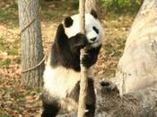 Cache cache avec Newton