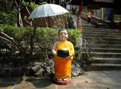 Thaïlande: moines font leur manège aumônes [HD]