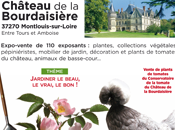 20éme Fête Plantes Poules Château Bourdaisière Avril 2014