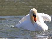 Comment Jardiner avec lune mois d'avril 2014