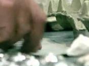 NAUTILUS fabriqué main USA, nouveau CCFX2