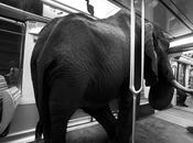 Quand métro Parisien envahi drôles d’animaux