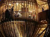 Gastronomie: cabane yellow treehouse