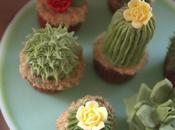 délicieux cactus… cupcakes