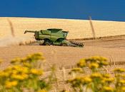 L’accaparement terres concentration foncière menacent-ils l’agriculture campagnes françaises