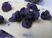 plantes s’invitent dans assiettes beignets violette