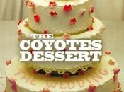 Coyotes Dessert “Devil Dance” vidéo.