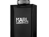 Vous laisserez-vous tenter nouveau parfum masculin Karl Lagarfeld