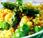 Salade boulgour asperges