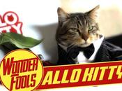 Allo Kitty, quand magie opère (Vidéo)