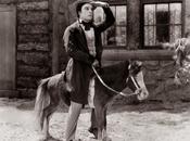 Citation jour, bonjour