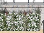 ANDRE EVE, CITEFLOR L’ATELIER GABRIEL vont associer Jardins Jardin 2014 rosiers adaptés culture verticale, incroyablement florifères très résistants maladies