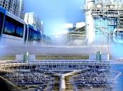 contenu gestion d’un portail électronique marchés publics fixé arrêté (JO)