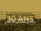 Fondation Cartier, pour l’art contemporain