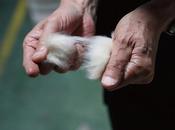 Rulezpeeps 2014 collection lookbook