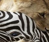 Politique et justice