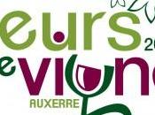 idée Week Fleurs Vigne promenade viticole terre bourguignonne dimanche 2014 heures