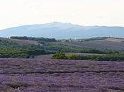 L'Homme Plantait Arbres 1987 Frederic Back