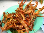 Thaïlande Pays Issan sont "entomophages" c'est dire qu'ils mangent insectes sont, encore fois avance