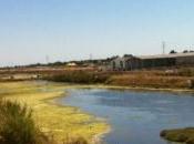 priorité pour retais restent l'ile