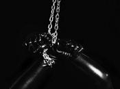 Animal Bodies Deep Sleep