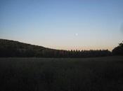 2014 expulsion massive destruction lieux Testet