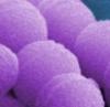 MICROBIOTE santé humaine focus MALADIES MÉTABOLIQUES FFAS