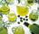 L’huile d’olive prévient l’ostéoporose