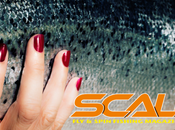 Scale n°12 numero filles