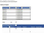 Excel: Problème filtre dans tableaux croisés dynamiques