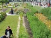 espaces verts sans pesticides