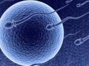 FERTILITÉ masculine: Quels facteurs mode pour santé sperme? Human Reproduction