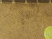 livre relié avec peau d’une femme Harvard