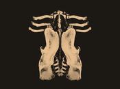 Critique l’album Pansement groupe Oktoplut