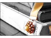 Tuesday livres lire plage