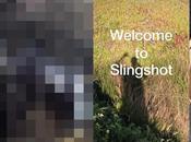 Attention, Snapchat, Facebook lance Slingshot