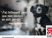 quoi pense animal abandonné