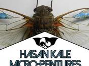Hasan Kale Micro Peintures