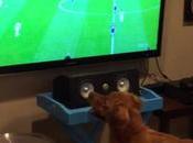 chiens regardent aussi Coupe Monde