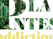 Nouvelle tendance déco Cactus