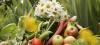 Pourquoi faut combattre Monsanto fiche pratique