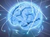 CONVULSIF FÉBRILE chez l'Enfant biomarqueur prédictif l'épilepsie Journal Neuroscience