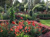 Georges Lévêque* vous emmène visiter beaux Jardins* d’Ulster