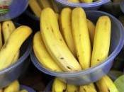 cocaïne dans bananes supermarché