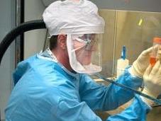 H1N1: virus invincible développé laboratoire