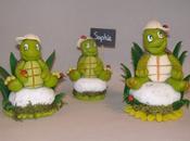 Petites tortues galet