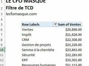 Permettre filtres simultanément même champ dans tableau croisé dynamique